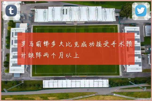 罗马前锋多夫比克成功接受手术预计缺阵两个月以上