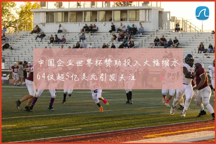 中国企业世界杯赞助投入大幅缩水64仅超5亿美元引发关注