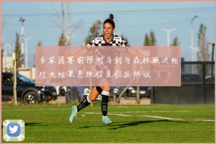 专家团赛前预测马刺与森林狼次轮对决结果悬殊程度引发热议