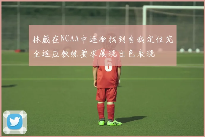 林葳在NCAA中逐渐找到自我定位完全适应教练要求展现出色表现
